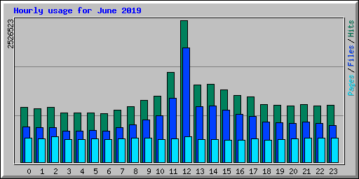 Hourly usage for June 2019